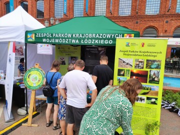 Jarmark Wojewódzki w Manufakturze w Łodzi, 